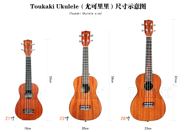 ukuleleߴѡ