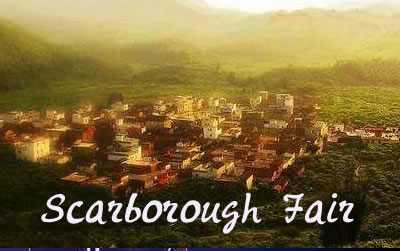 Scarborough Fair ˹Ѳؼ